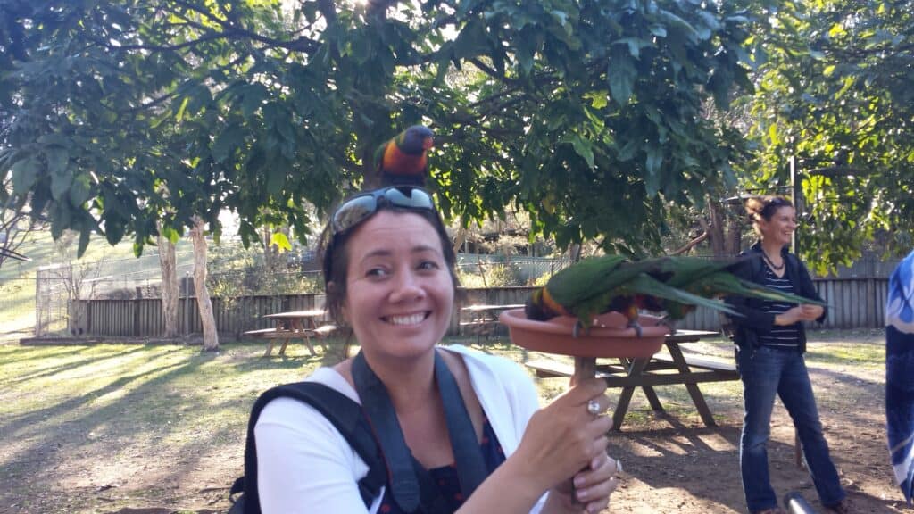 Person holding bird feeder with lorikeet birds on the bird feeder and on person's head