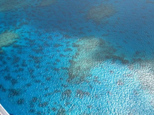 aerial view of crystal blue ocean with coral reef