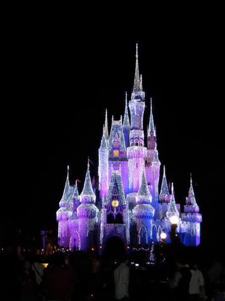 Cinderella's castle illuminated at night