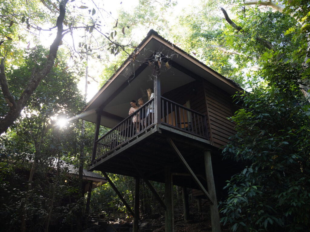 view of hotel room with balcony amidst tree canopy in rainforest