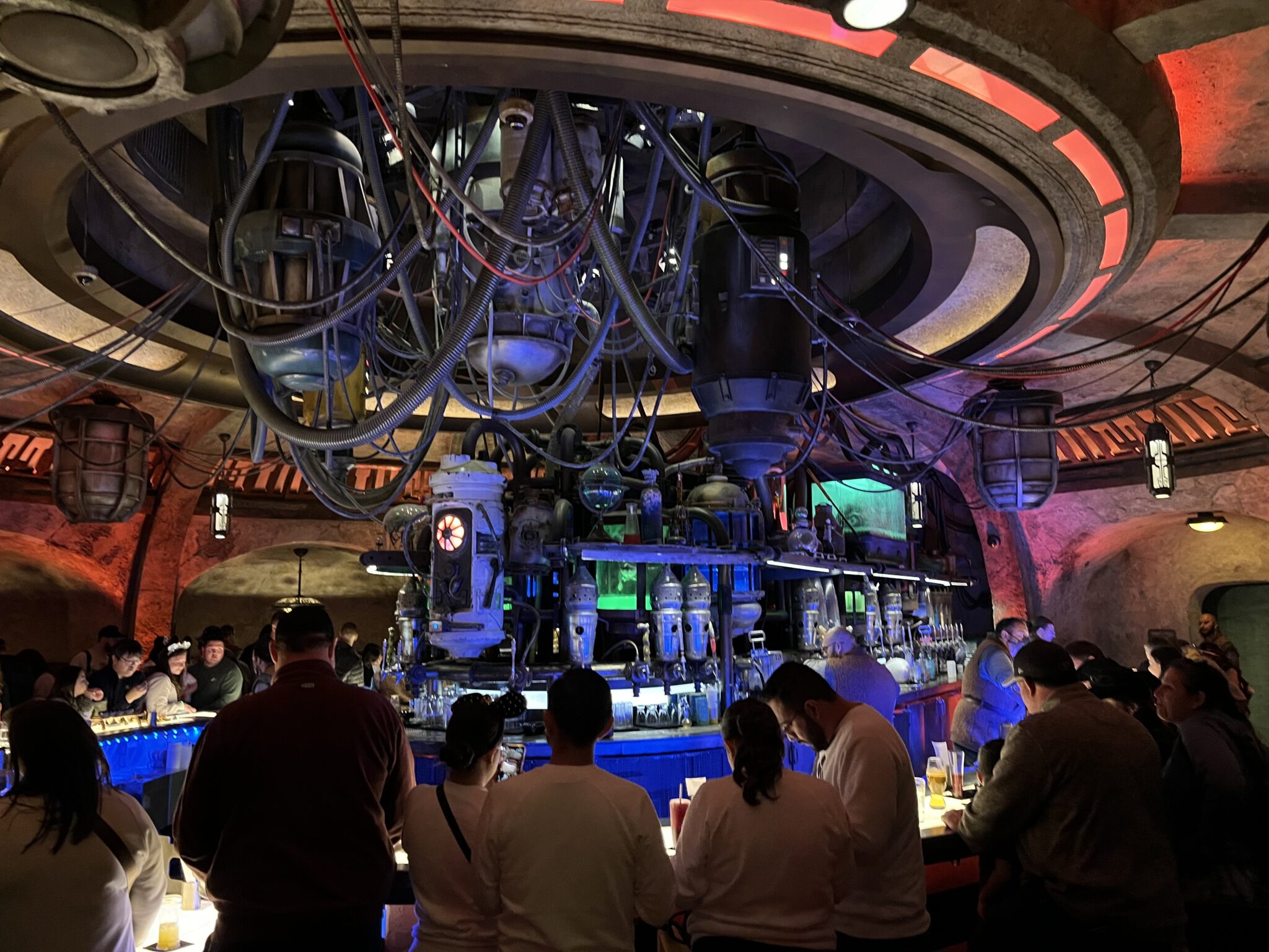 Can You Bring Food Into Disney World? What outside food and drinks are
